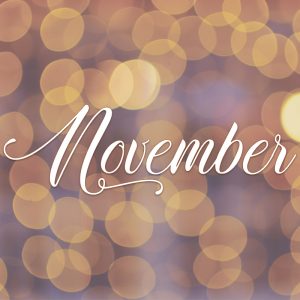 11 - November